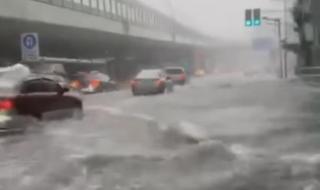 上海下雨了文案 上海暴雨白天如黑夜