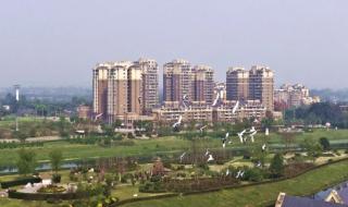 中考成绩单 中考成绩单