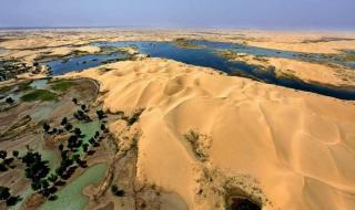 世界上最大的沙漠